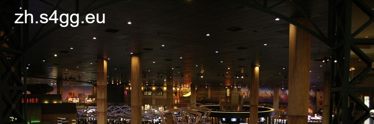 zh.s4gg.eu